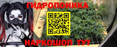 амф Гай