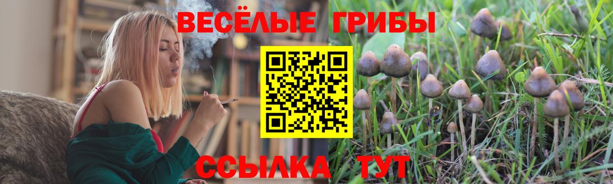 как найти закладки  Вход с VPN  Фрязино  Галлюциногенные грибы ЛСД 